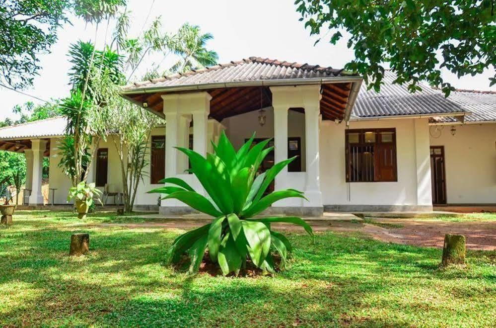 Villa Helvetia Гале Екстериор снимка
